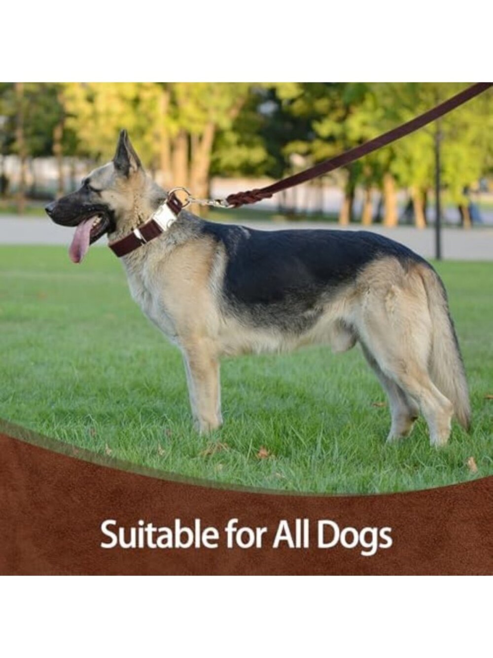 Durable Leather Dog Collar & 6FT Training Leash Set for All Sizes - Soft - Picture 6 of 6